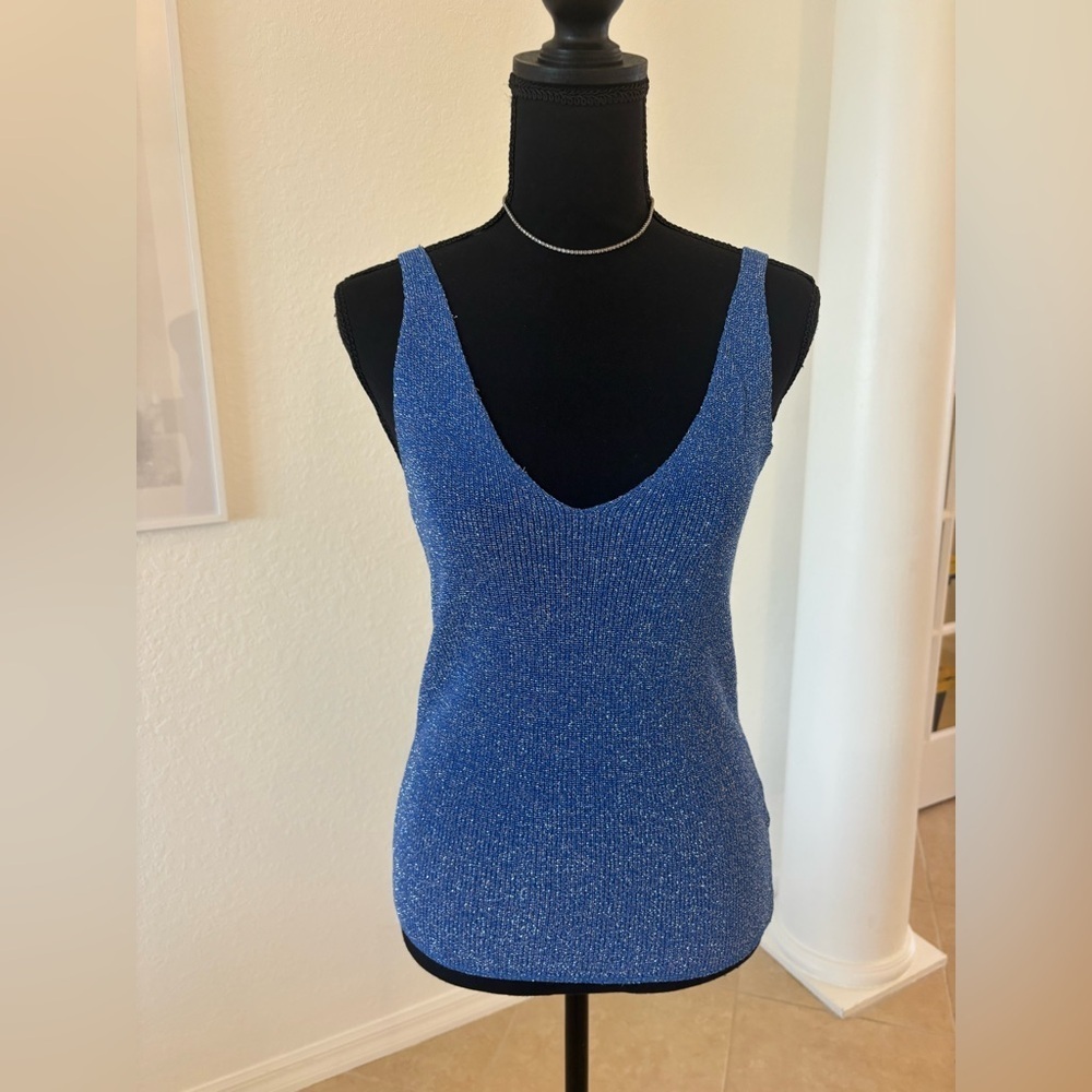 Blue Sleeveless Knit Top